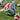 BALÓN TRIONDA WORLD CUP - imagen 3